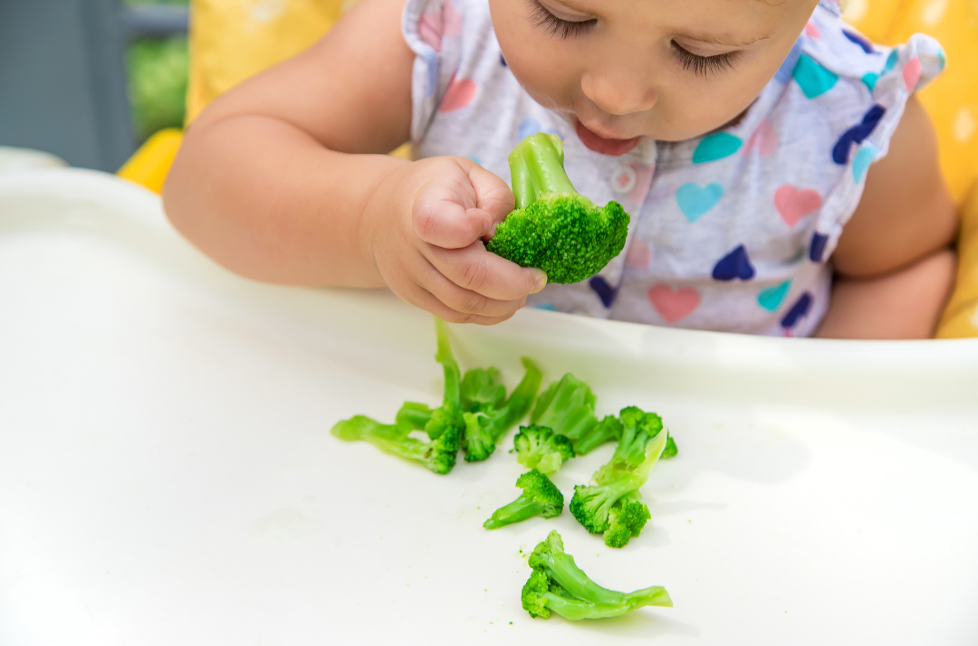 bébé refuse les purées, donner des morceaux à manger à la main