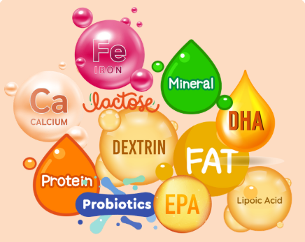 composition laits infantile